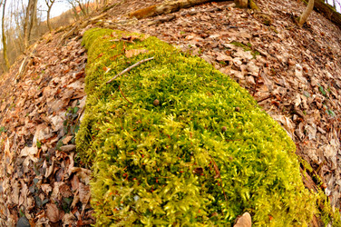 Similar image 21502945