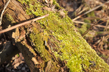 Similar image 21502946