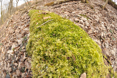 Similar image 21502948