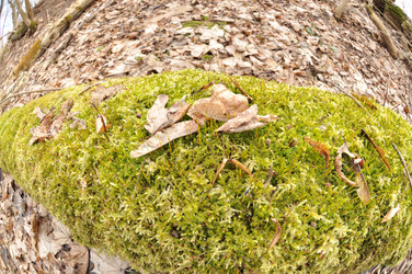 Similar image 21502949