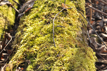 Similar image 21502950