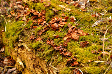 Similar image 21503324