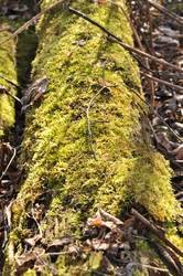 Similar image 21503327