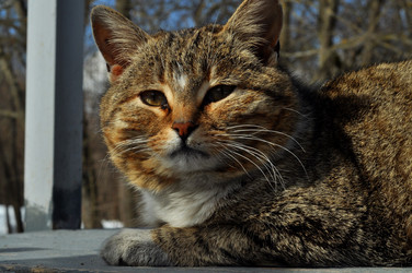 Similar image 21503330