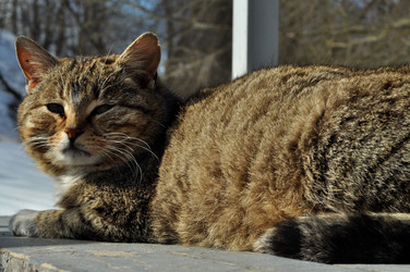 Similar image 21503727