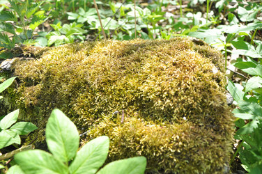 Similar image 21502497