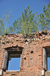 Similar image 21502505