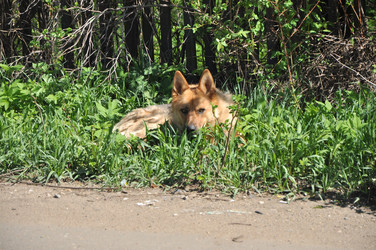 Similar image 21502961