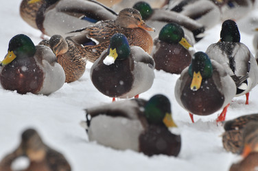 Similar image 21504212