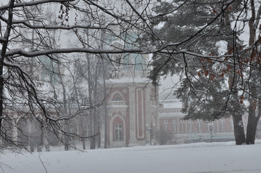 Similar image 21491871