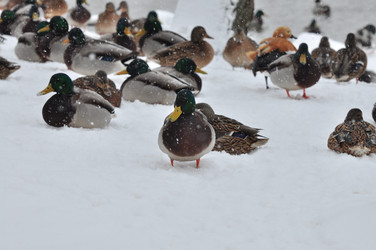 Similar image 21502970