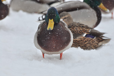 Similar image 21502972