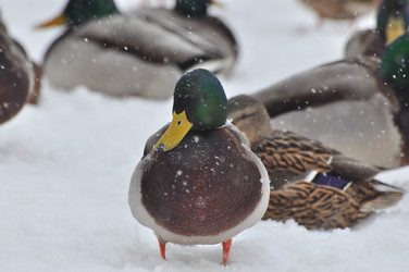 Similar image 21503349