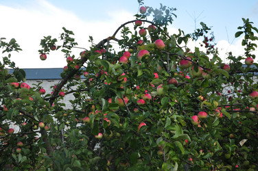 Similar image 21504214