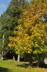 Similar image 21489169