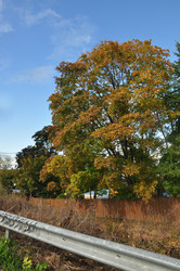 Similar image 21489170