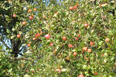 Similar image 21489175