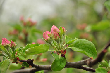 Similar image 21491901