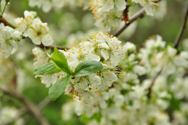 Similar image 21491910