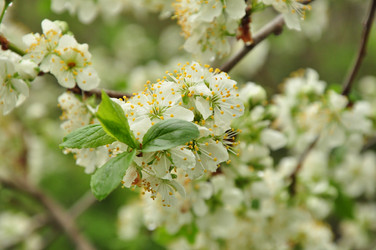 Similar image 21491912