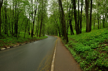 Similar image 21491919