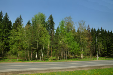 Similar image 21491924