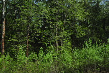 Similar image 21504216