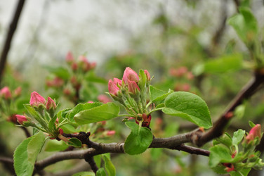 Similar image 21503751