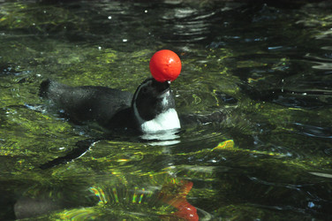 Similar image 21489182