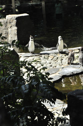 Similar image 21489184