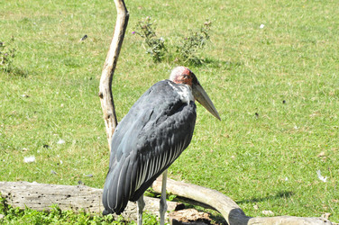 Similar image 21489776