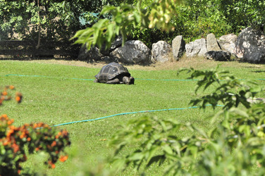 Similar image 21489780