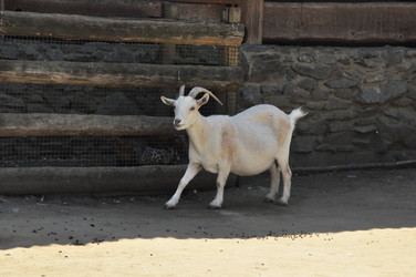 Similar image 21489792