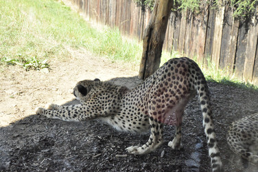 Similar image 21491573