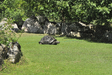 Similar image 21491926