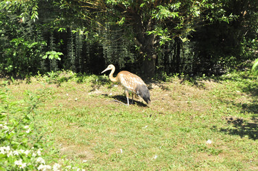 Similar image 21491930