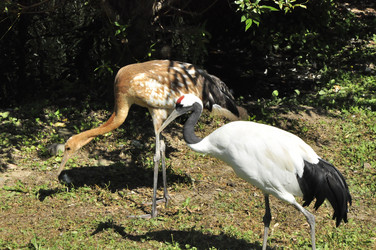 Similar image 21491933