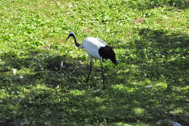 Similar image 21491940