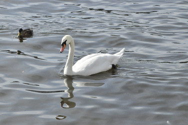 Similar image 21495244