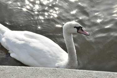 Similar image 21504218