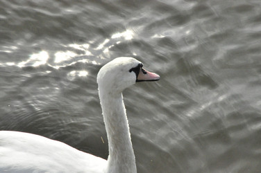 Similar image 21502527