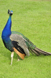 Similar image 21502978