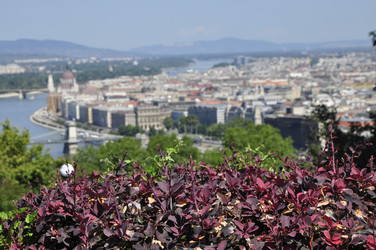 Similar image 21502979