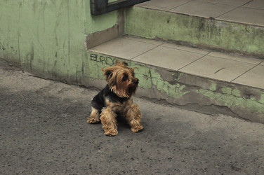 Similar image 21503926