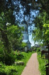 Similar image 21489804