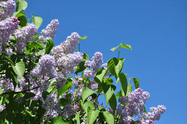 Similar image 21489815