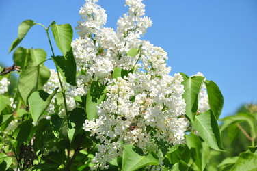 Similar image 21489816