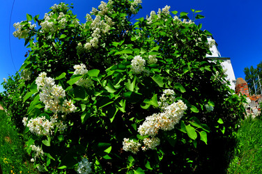 Similar image 21491578