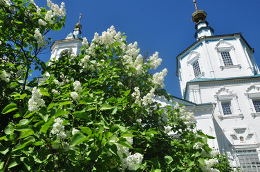 Similar image 21491956