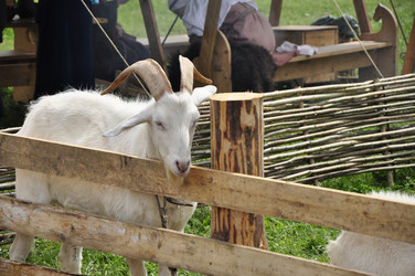 Similar image 21491974